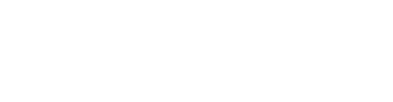 Case-study-page_img-logo-Bruce